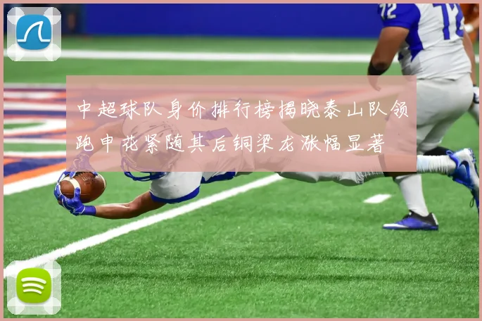 中超球队身价排行榜揭晓泰山队领跑申花紧随其后铜梁龙涨幅显著